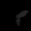 SPORK, NICO - 22.03.1976 - 02.08.2022 - CT obere Extremität - 17:59:07